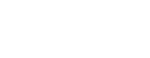 DVS Logo